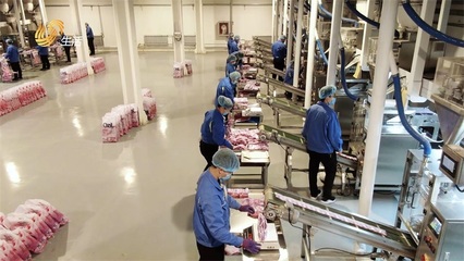 特絲麗化工 踐行環(huán)保理念，打造綠色護(hù)膚品制造新標(biāo)桿