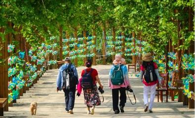 山泉覓清涼，隱匿在大山深處的最美齊長(zhǎng)城百果園休閑觀光活動(dòng)