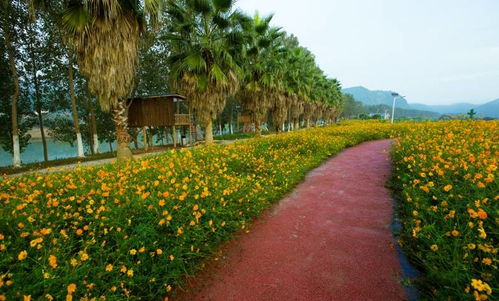 元旦出行大禮包丨人少景美不看海，山野閑趣與古韻新姿伴你跨年
